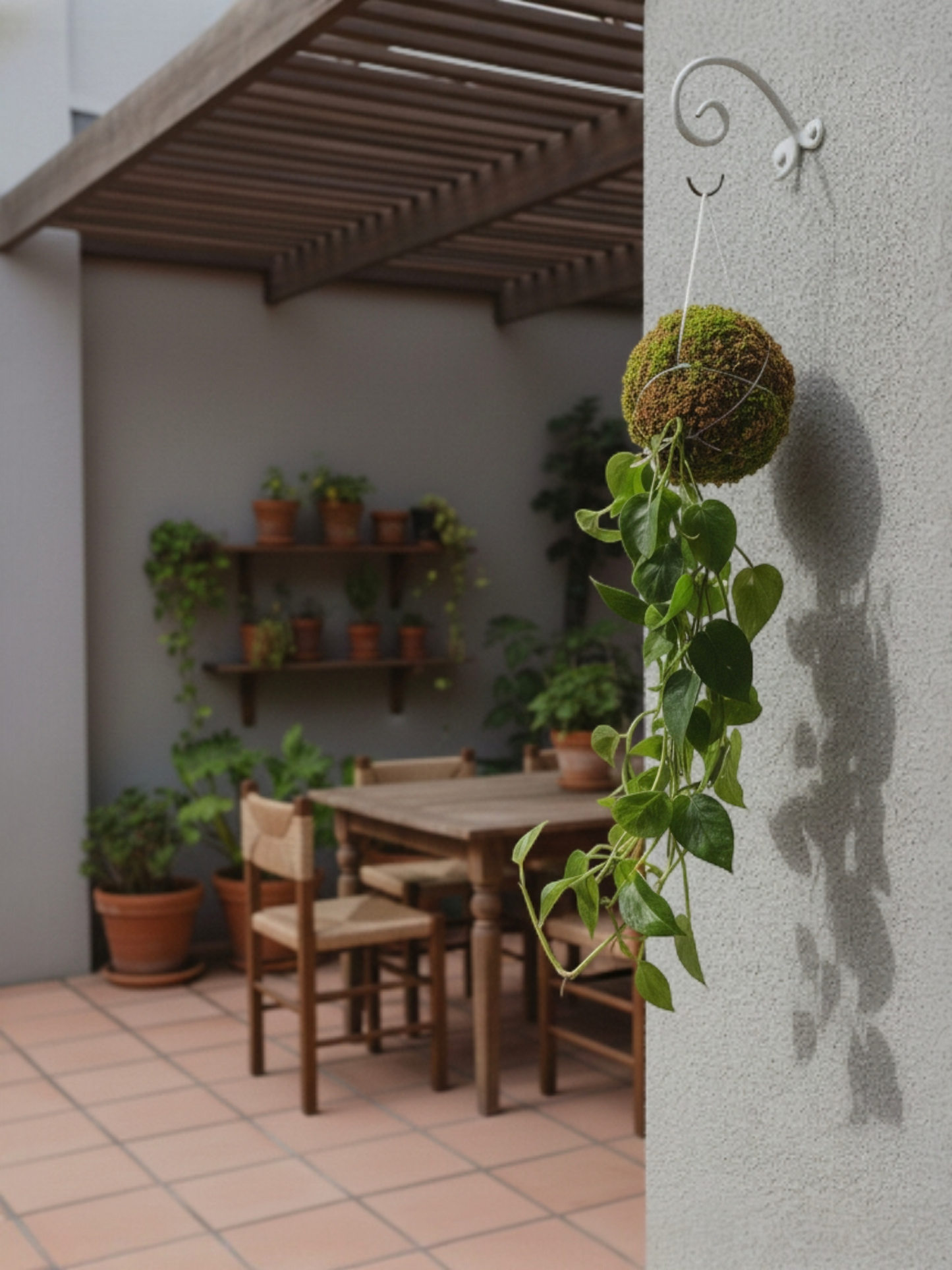 Kokedama Philodendro Brasil