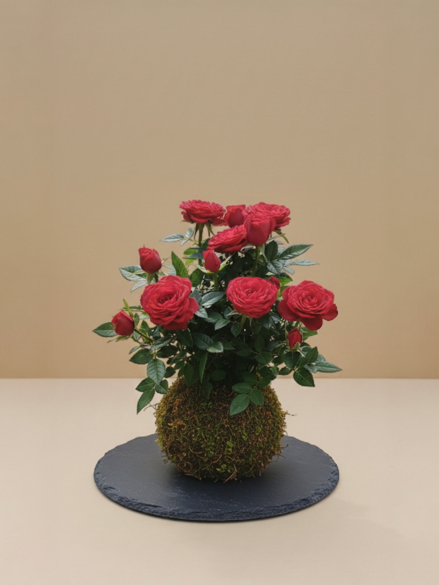 Kokedama Rosal Paisajístico ( doble )