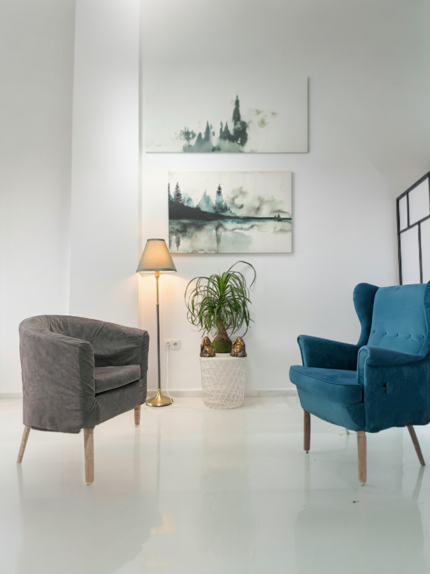 Beaucarnea Recurvata XXL(Pata de elefante)